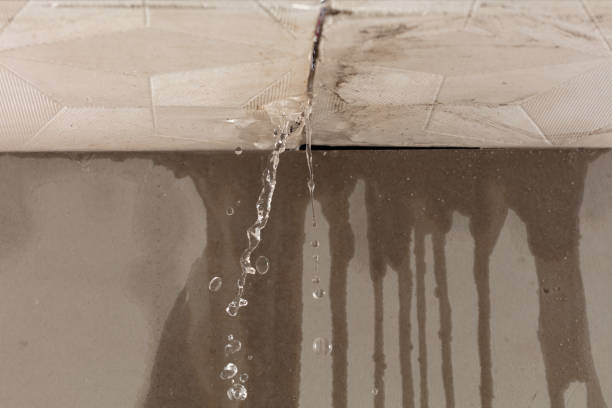 Professional Water Damage Repair technician working in Moline, IL